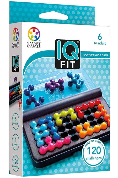IQ Fit Puzzle Game